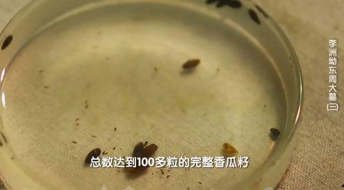 吃瓜考古地