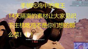 呆瓜搞笑吃鸡