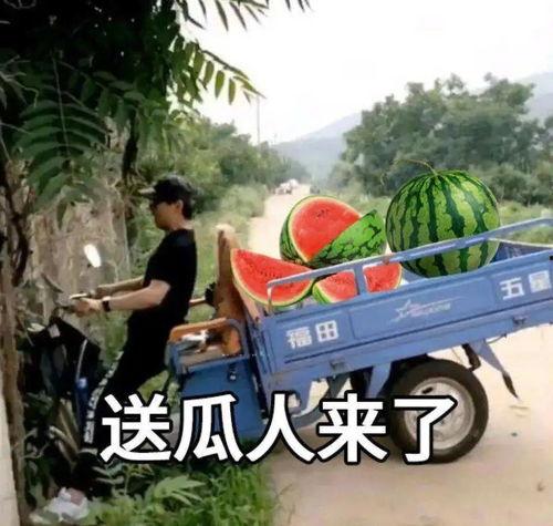 吃瓜也翻车,揭秘网络谣言背后的真相