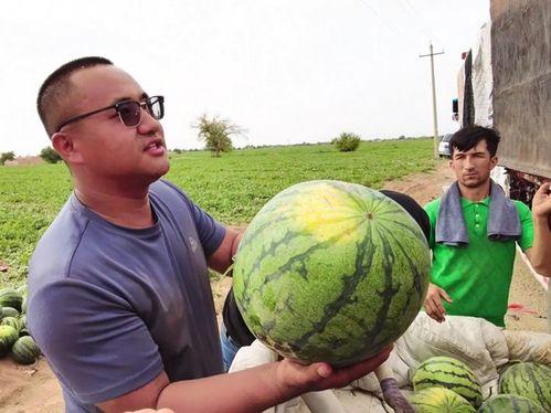 乌鲁木齐万科吃瓜,吃瓜群众眼中的社区生活百态