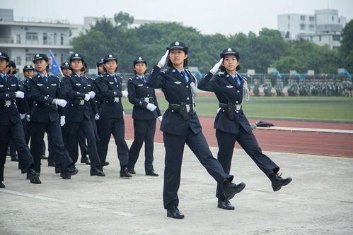 广东警官学院吃瓜,校园吃瓜事件背后的风云涌动