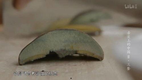 瓜虫吃不吃菌