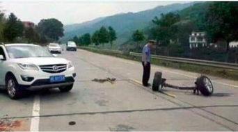 吃瓜群众不明事理,揭秘网络谣言背后的真相